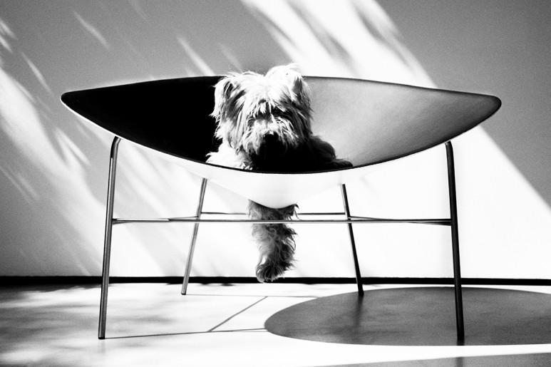 living divani altagamma, maggio 2012